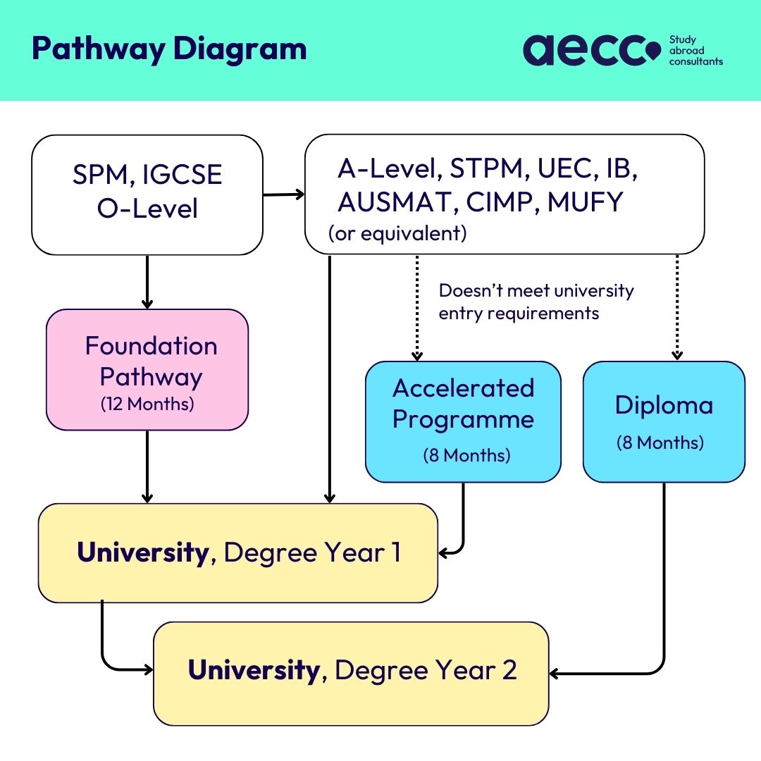 University Pathway Diagram