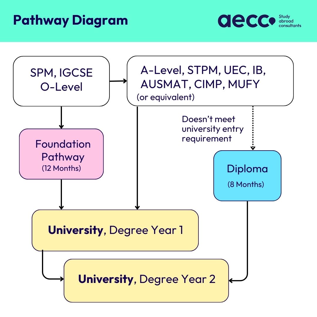 University Pathway Diagram